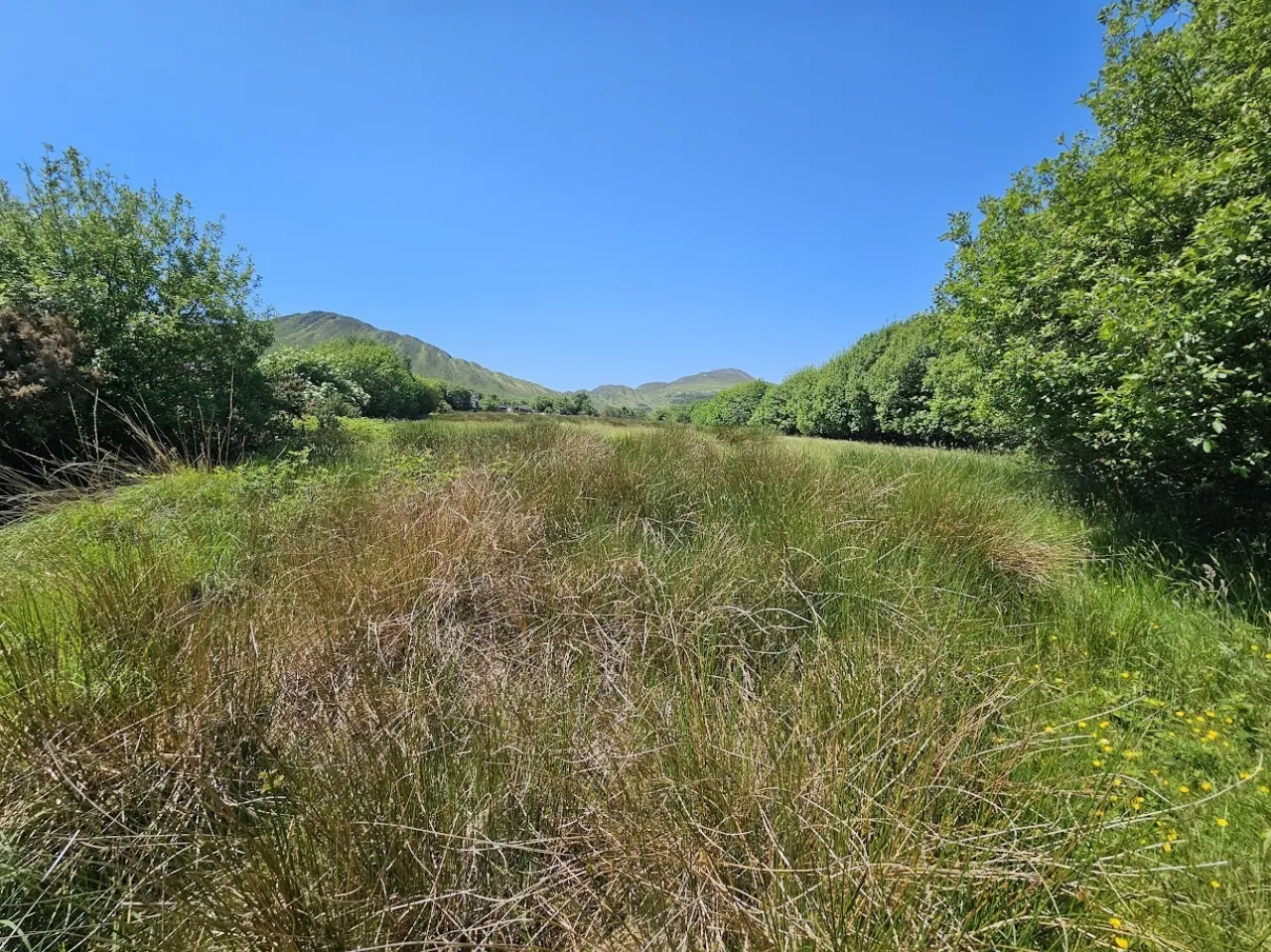 Photo of Derreenavurrig, Sneem, Co. Kerry, V93 K5CX