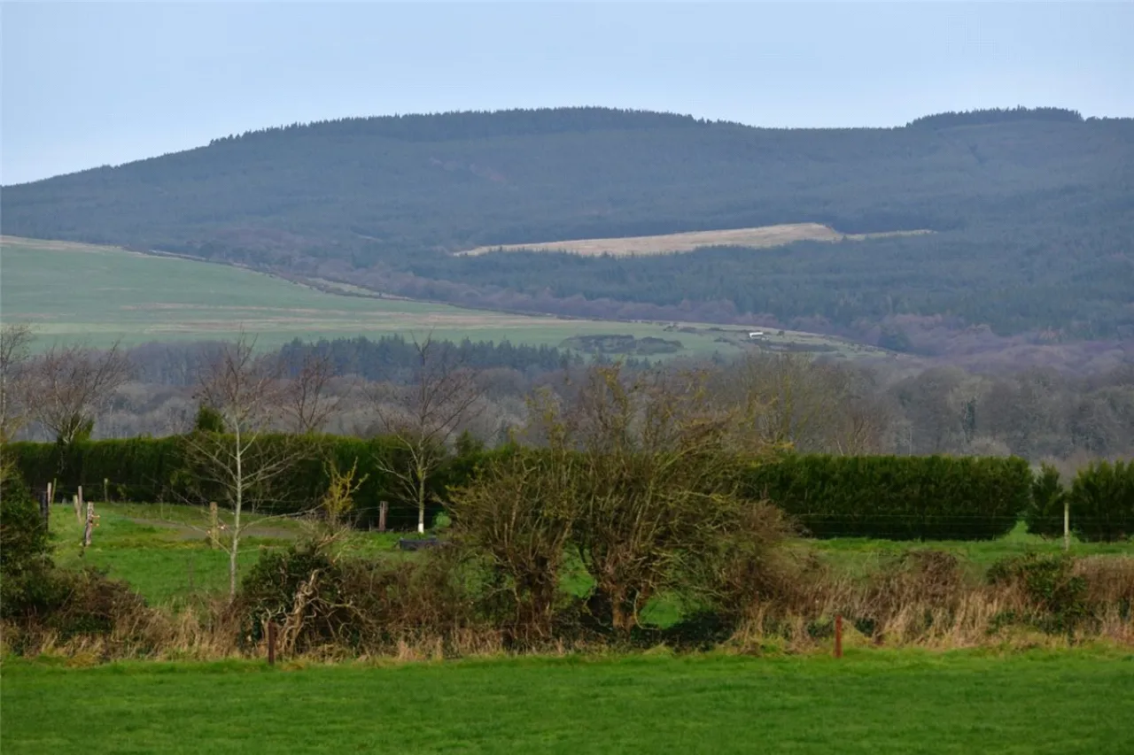 Photo of Rossagh West, Buttevant, Co. Cork., P51 D8H3