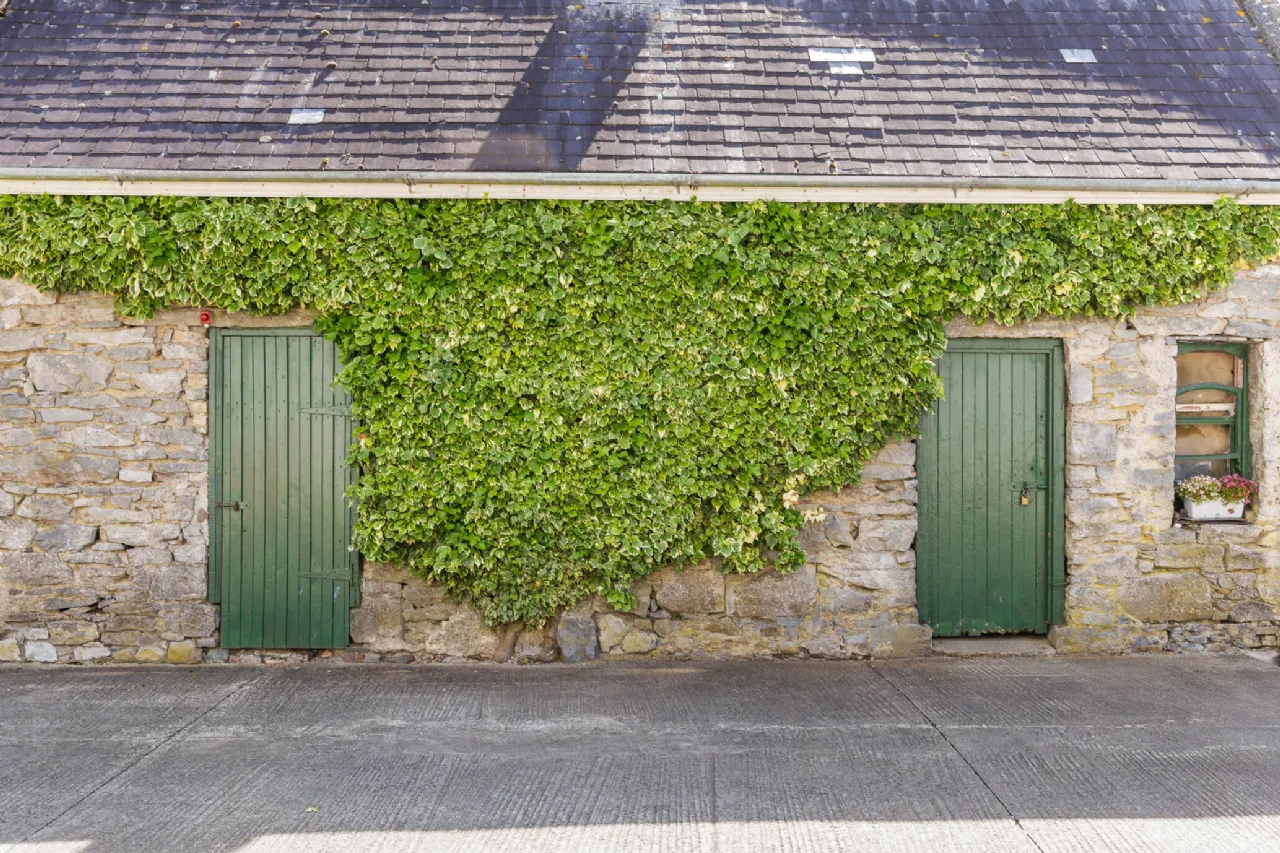 Photo of The Castle Country House, Two Mile Borris, Thurles, Co. Tipperary, E41 X9D8