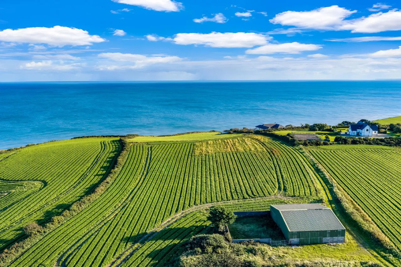 Photo of Ballinamona, On Approx. 7 Hectares (17 Acres), Kilmuckridge, County Wexford, Y25A266