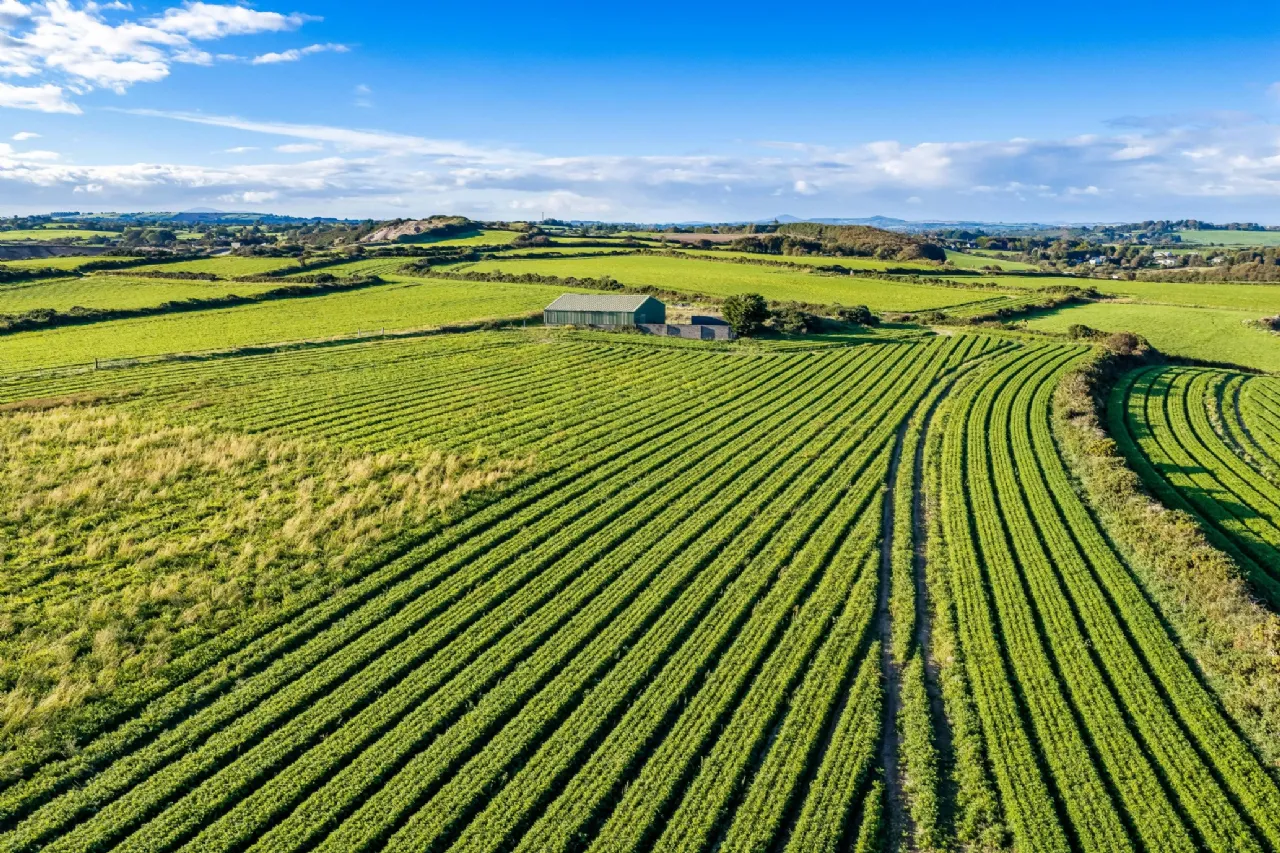 Photo of Ballinamona, On Approx. 7 Hectares (17 Acres), Kilmuckridge, County Wexford, Y25A266