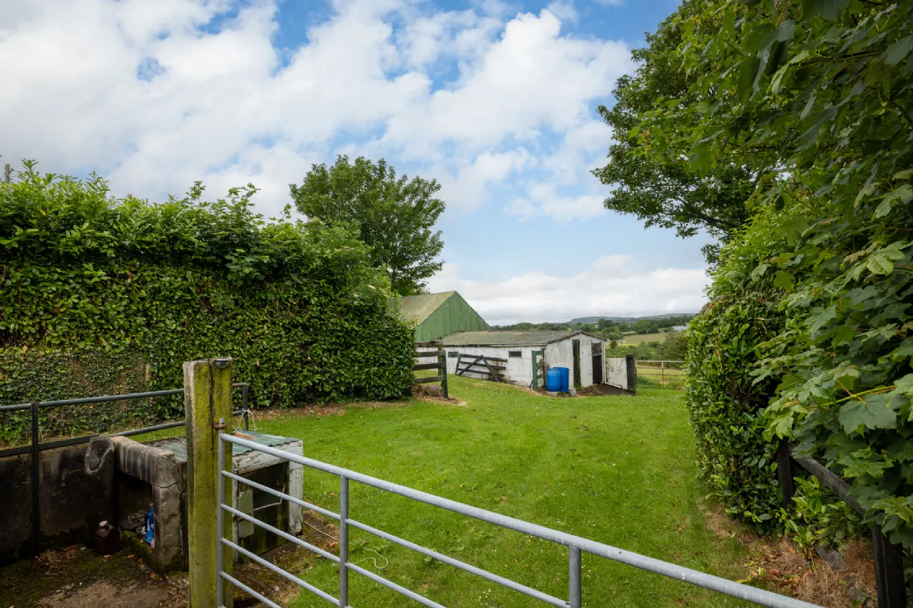 Photo of Knockbaun, Blackwater, Co. Wexford, Y21 A024