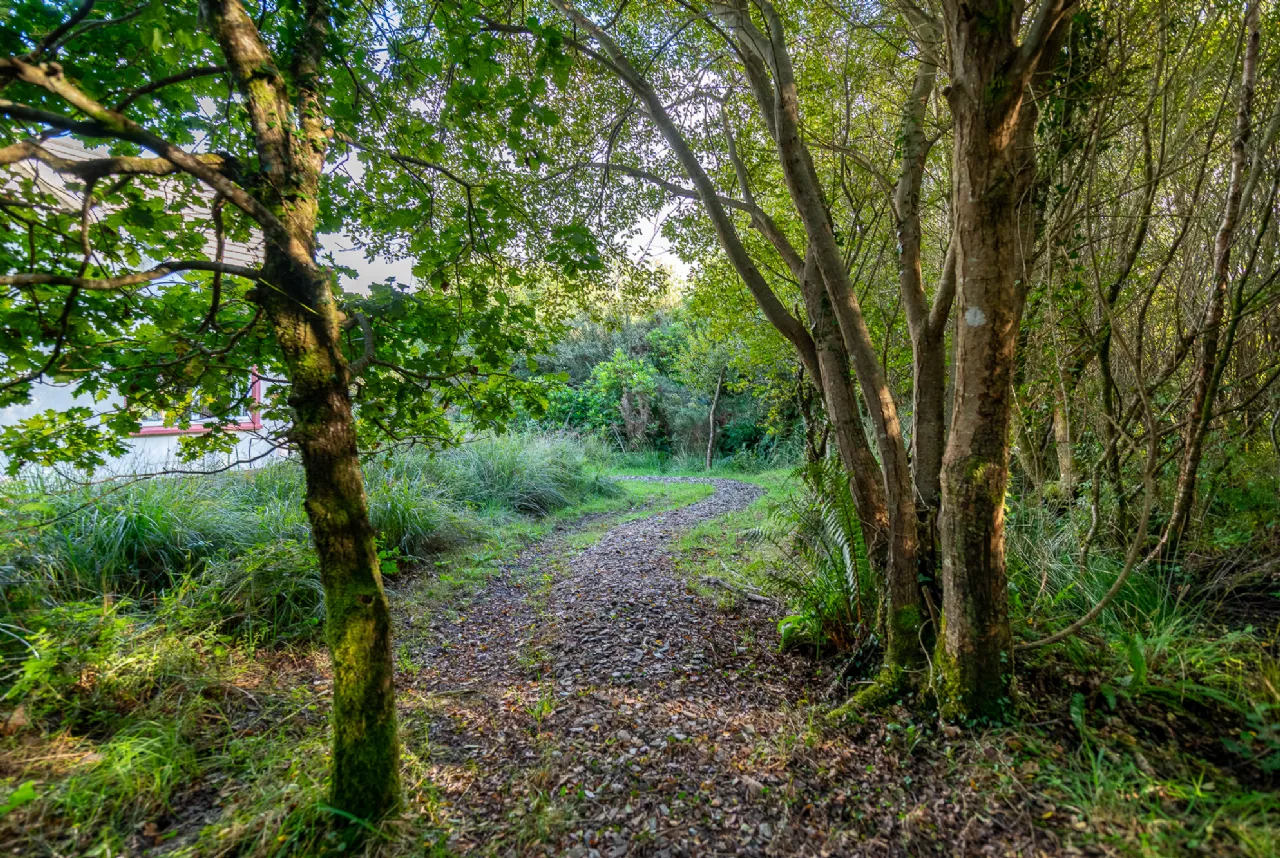 Photo of Oisin House, Doon, Tahilla, Co Kerry, V93AP58