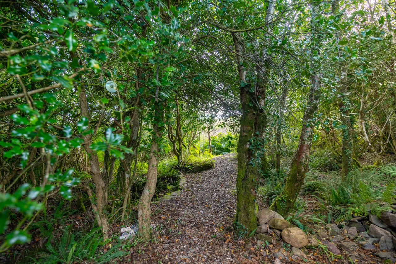 Photo of Oisin House, Doon, Tahilla, Co Kerry, V93AP58