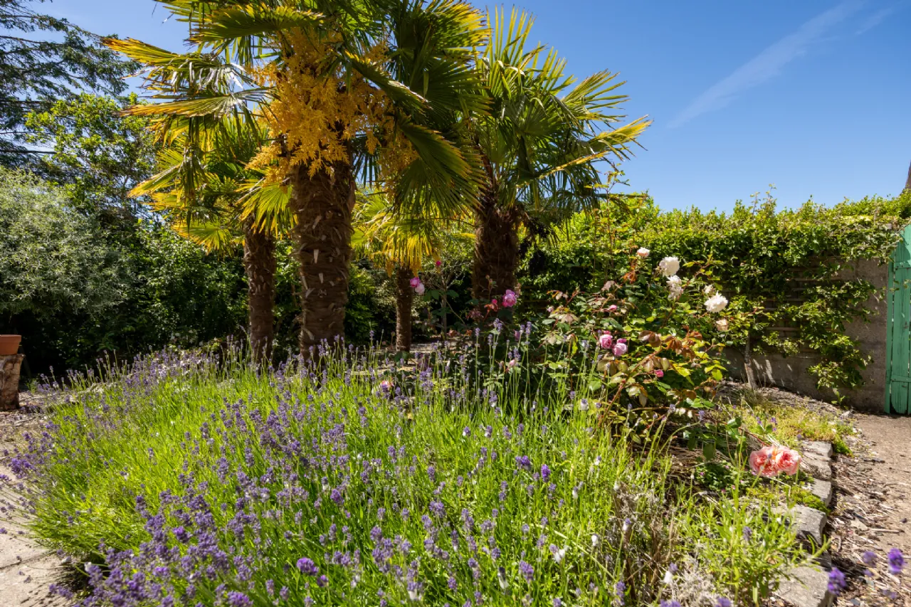 Photo of The Palms, Rosetown, Rosslare Strand, Co Wexford, Y35VY17