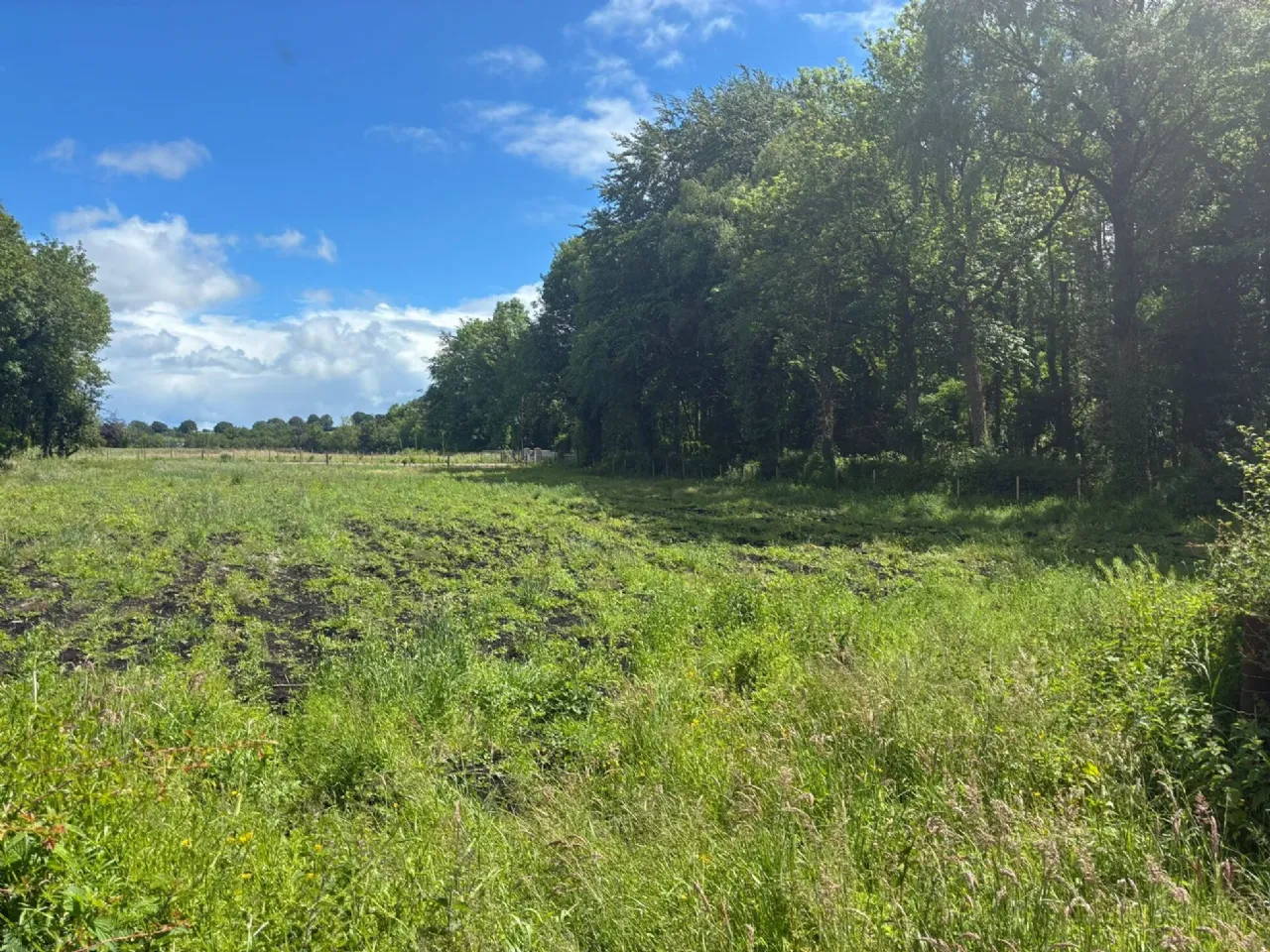 Photo of Site, Rossarrell, Glaslough, Co. Monaghan