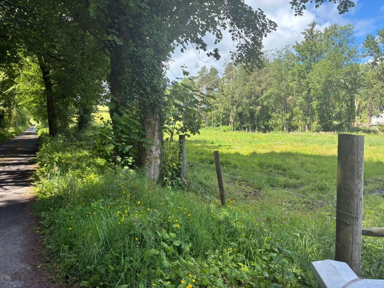 Photo of Site, Rossarrell, Glaslough, Co. Monaghan