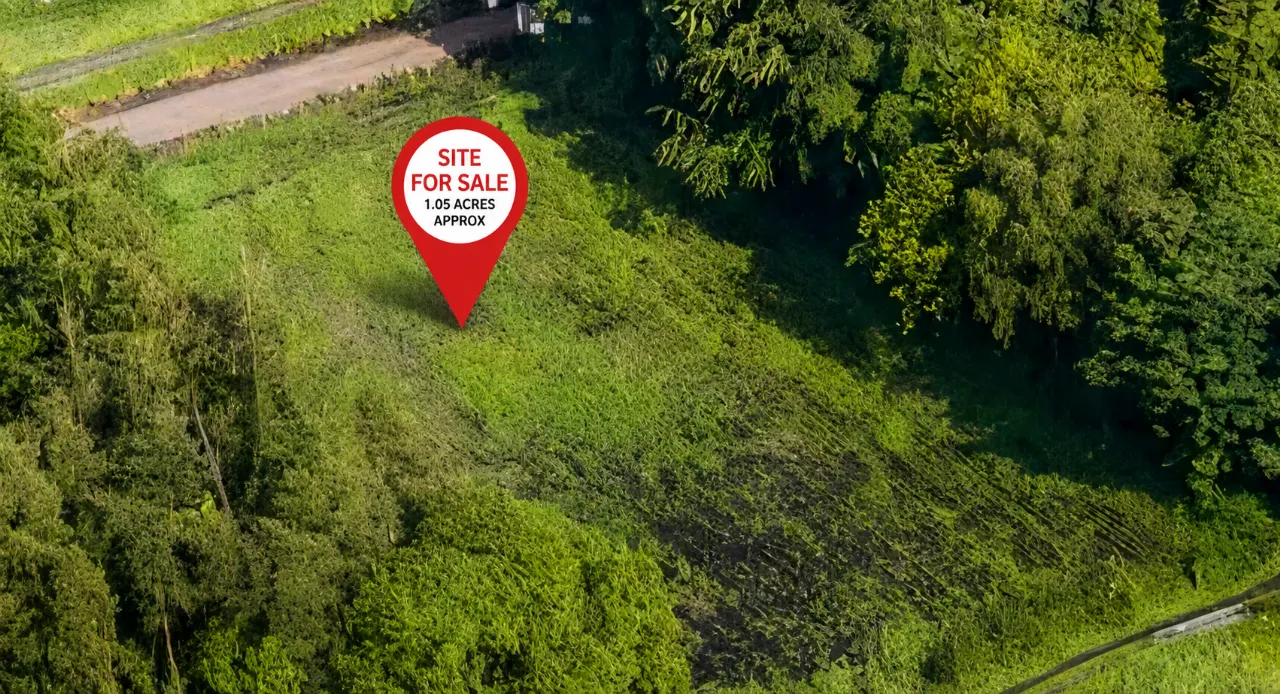 Photo of Site, Rossarrell, Glaslough, Co. Monaghan