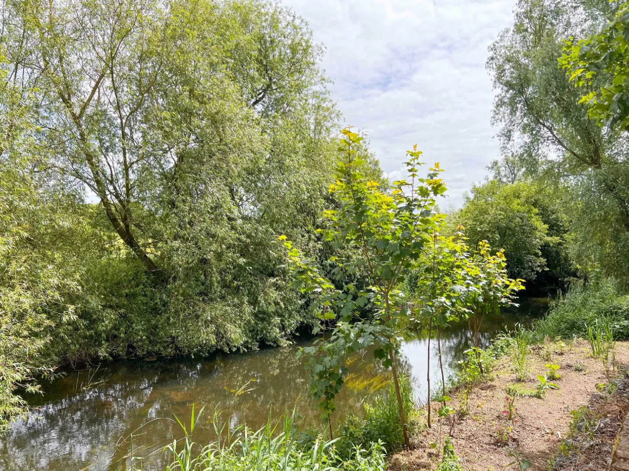 Photo of 9B The Willows, Clongour, Thurles, Co. Tipperary, E41 AK74
