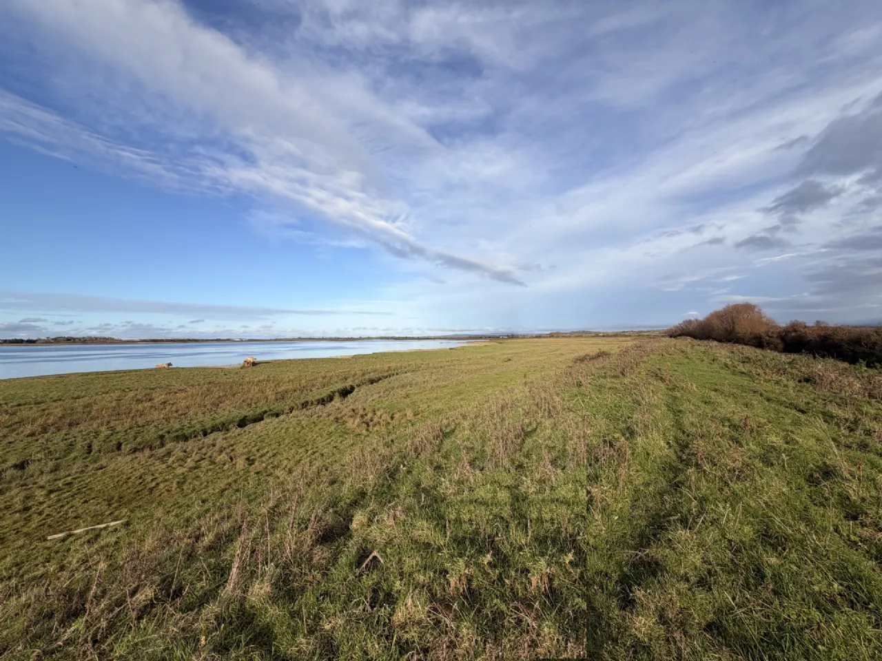 Photo of Land At Ballygirreen, One Sixth Share, On Folio CE65646F Plans 1 & 19, Newmarket-On-Fergus, Co. Clare.