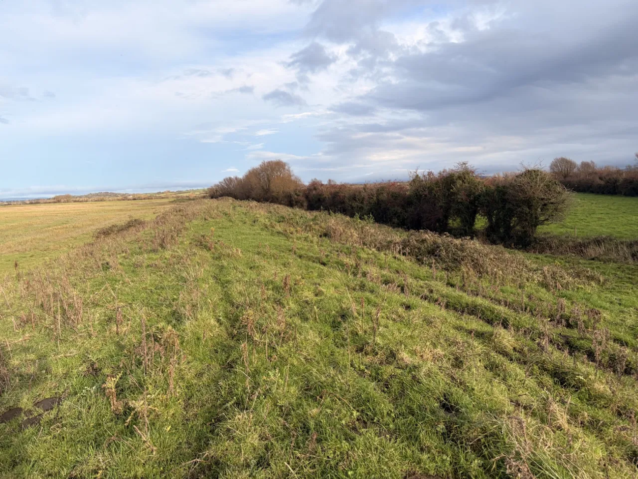 Photo of Land At Ballygirreen, One Sixth Share, On Folio CE65646F Plans 1 & 19, Newmarket-On-Fergus, Co. Clare.