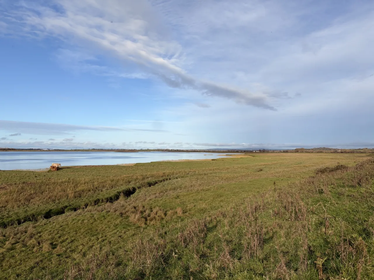 Photo of Land At Ballygirreen, One Sixth Share, On Folio CE65646F Plans 1 & 19, Newmarket-On-Fergus, Co. Clare.