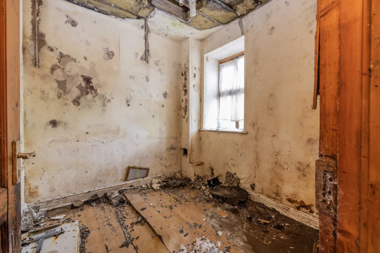Photo of 6, 8, 10 & 12 Drogheda Street, Balbriggan, Co. Dublin, DUBLIN