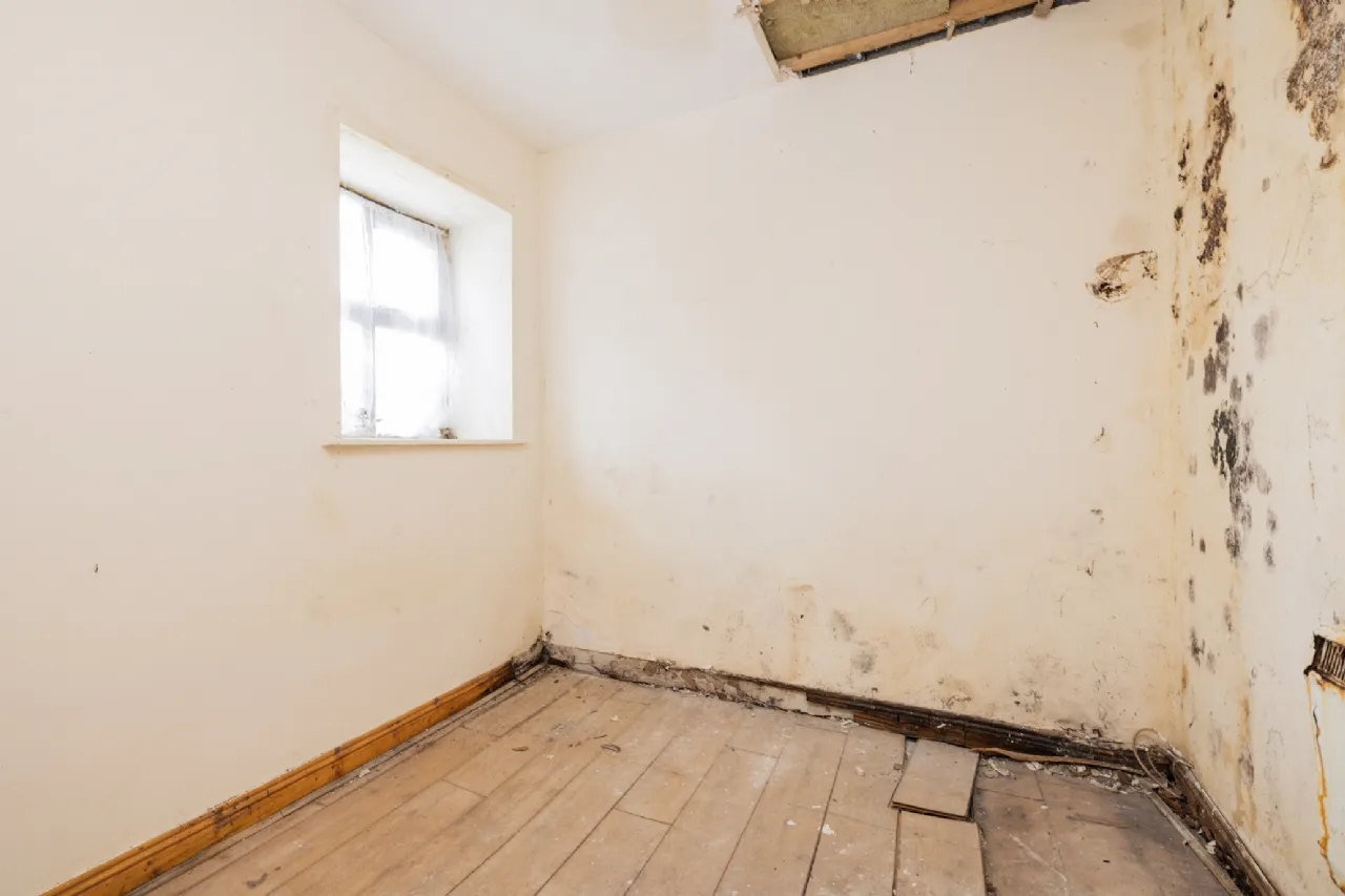 Photo of 6, 8, 10 & 12 Drogheda Street, Balbriggan, Co. Dublin, DUBLIN