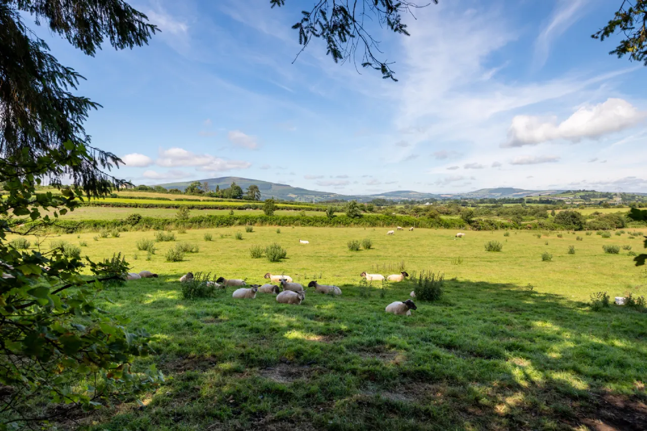 Photo of Apple Tree Cottage, Ballybeg Little, Graiguenamanagh, Co. Carlow, R95 P9D7