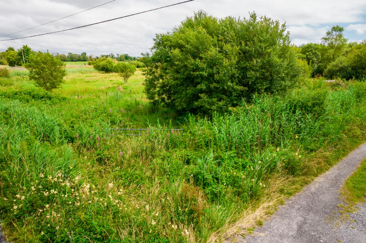 Photo of Land For Sale, Ardmore, Donamon, Co. Roscommon