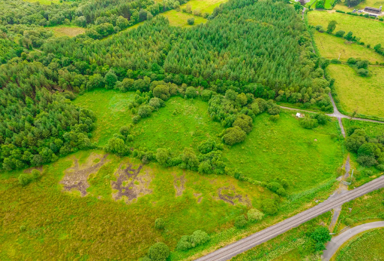 Photo of Land For Sale, Ardmore, Donamon, Co. Roscommon