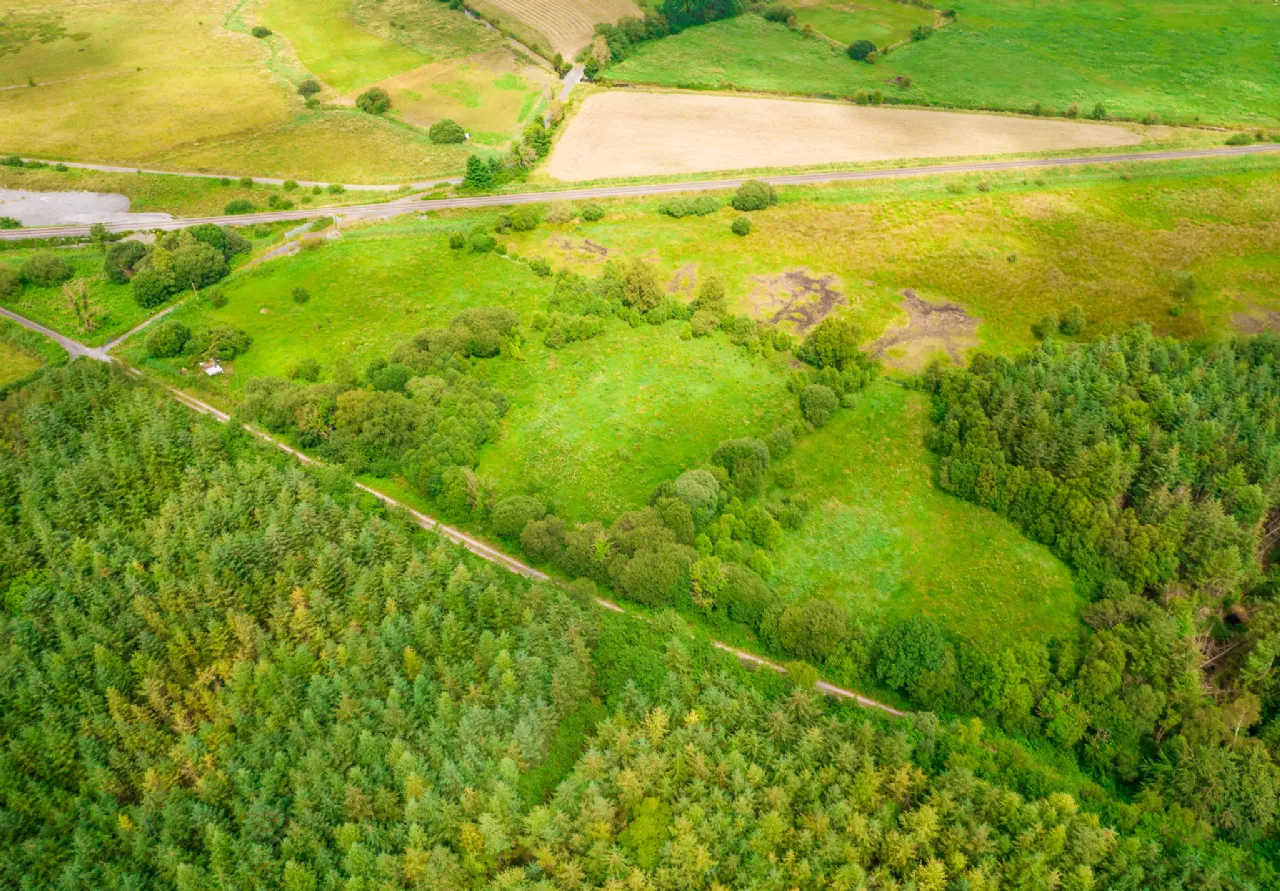 Photo of Land For Sale, Ardmore, Donamon, Co. Roscommon