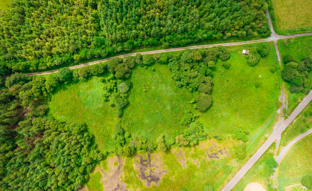 Photo of Land For Sale, Ardmore, Donamon, Co. Roscommon