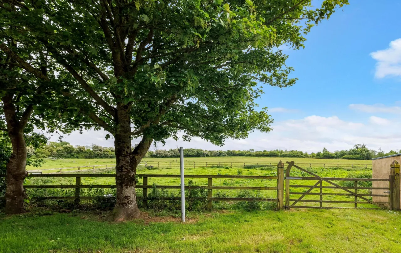 Photo of Royal Oak House, Broadford, Co. Kildare, W91 PV20
