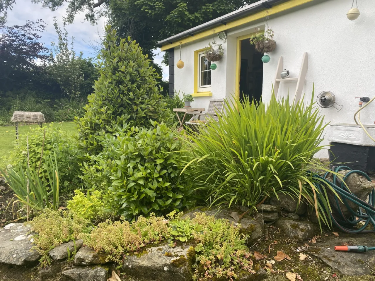 Photo of Deer Park, Carbad More, Killala, Co. Mayo, F26 W868