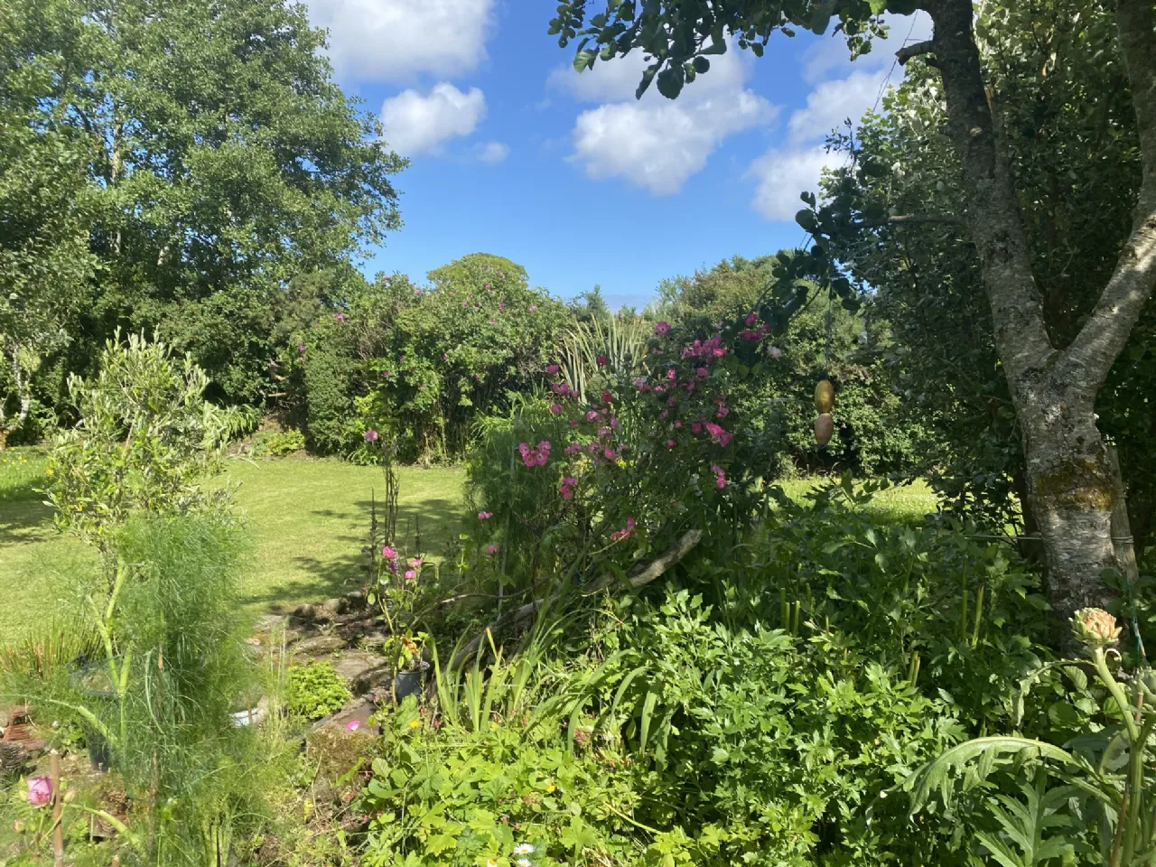 Photo of Deer Park, Carbad More, Killala, Co. Mayo, F26 W868