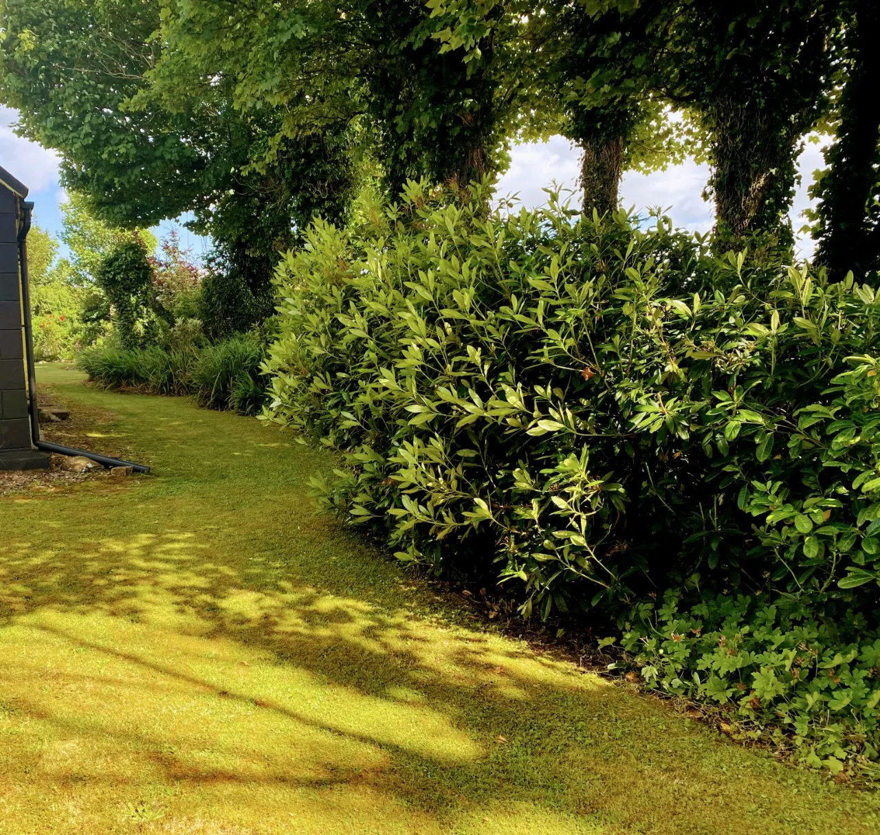 Photo of Deer Park, Carbad More, Killala, Co. Mayo, F26 W868