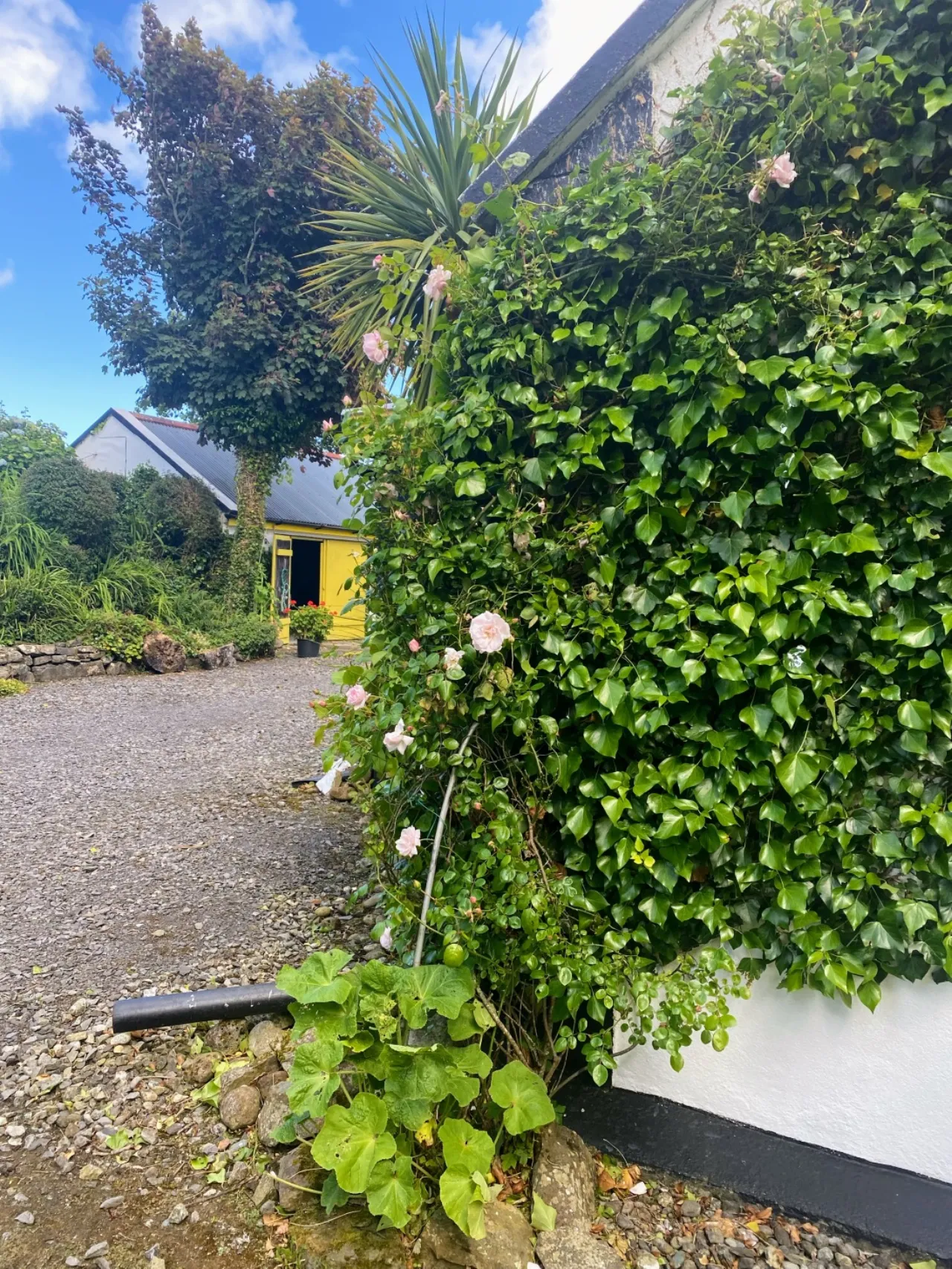 Photo of Deer Park, Carbad More, Killala, Co. Mayo, F26 W868
