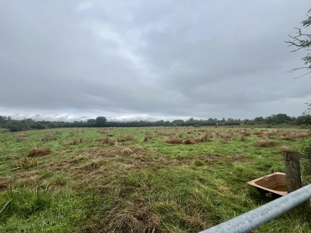 Photo of House and 11.60 Acres Of Land, Bunnacranna, Curry, Co Sligo, F12 VH28