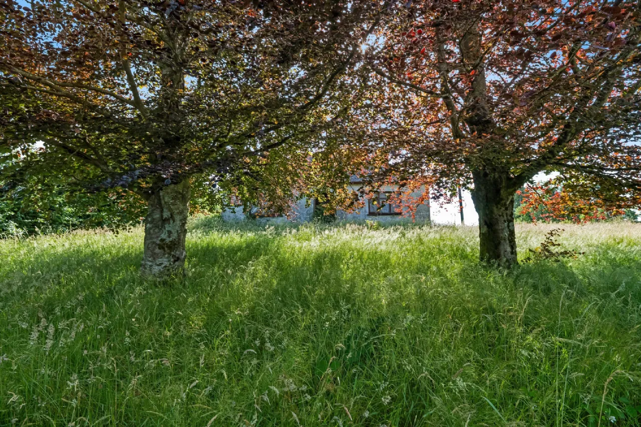 Photo of Cordalea, Killashandra, Co. Cavan, H12 E296