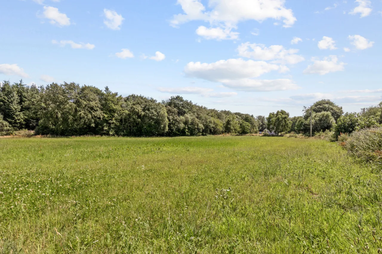 Photo of Site 3.3 Acres, Tottenhamgreen, Taghmon, Co Wexford