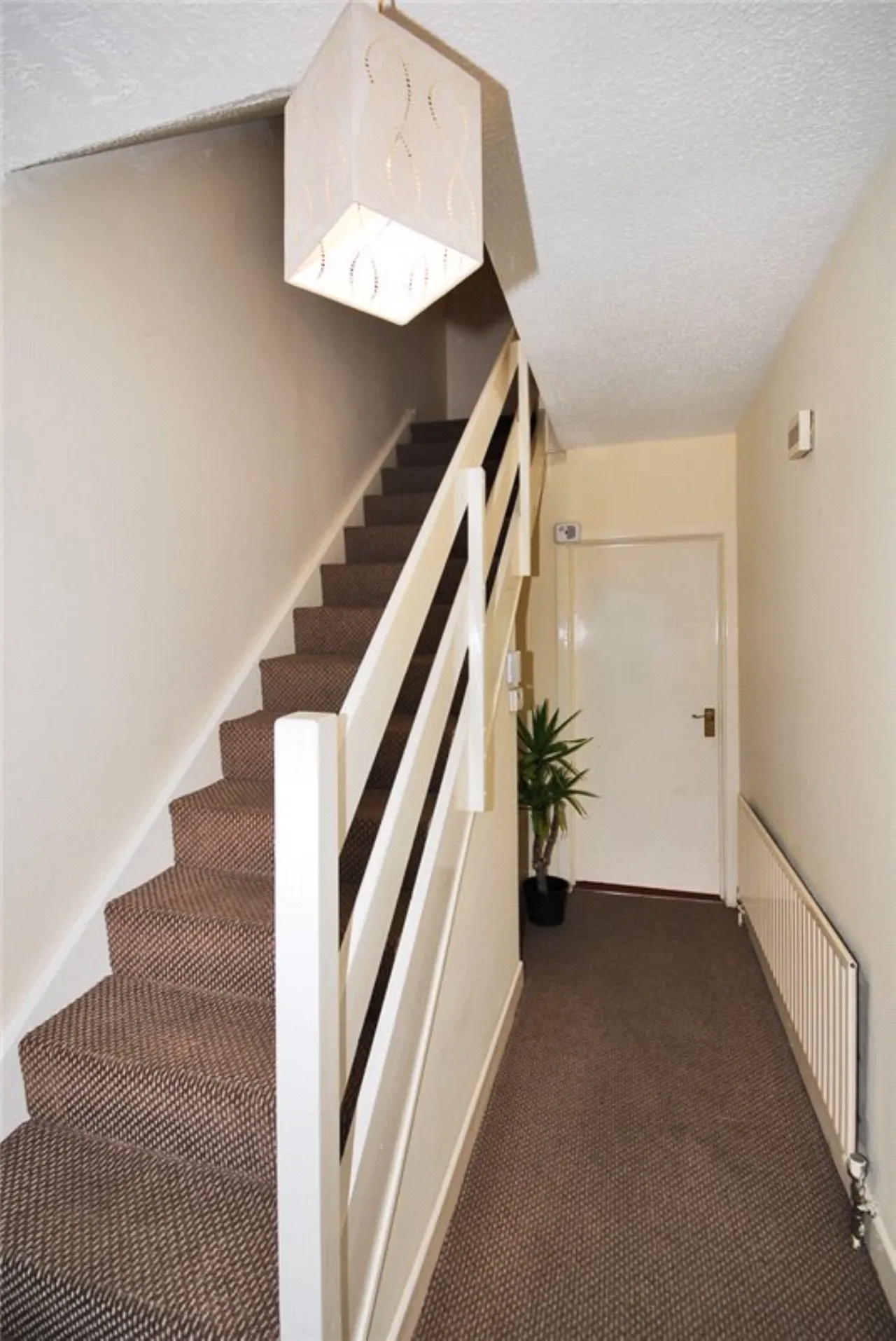 Photo of 38a Beechwood Avenue Lower, Ranelagh, Dublin 6, D06 X6V0