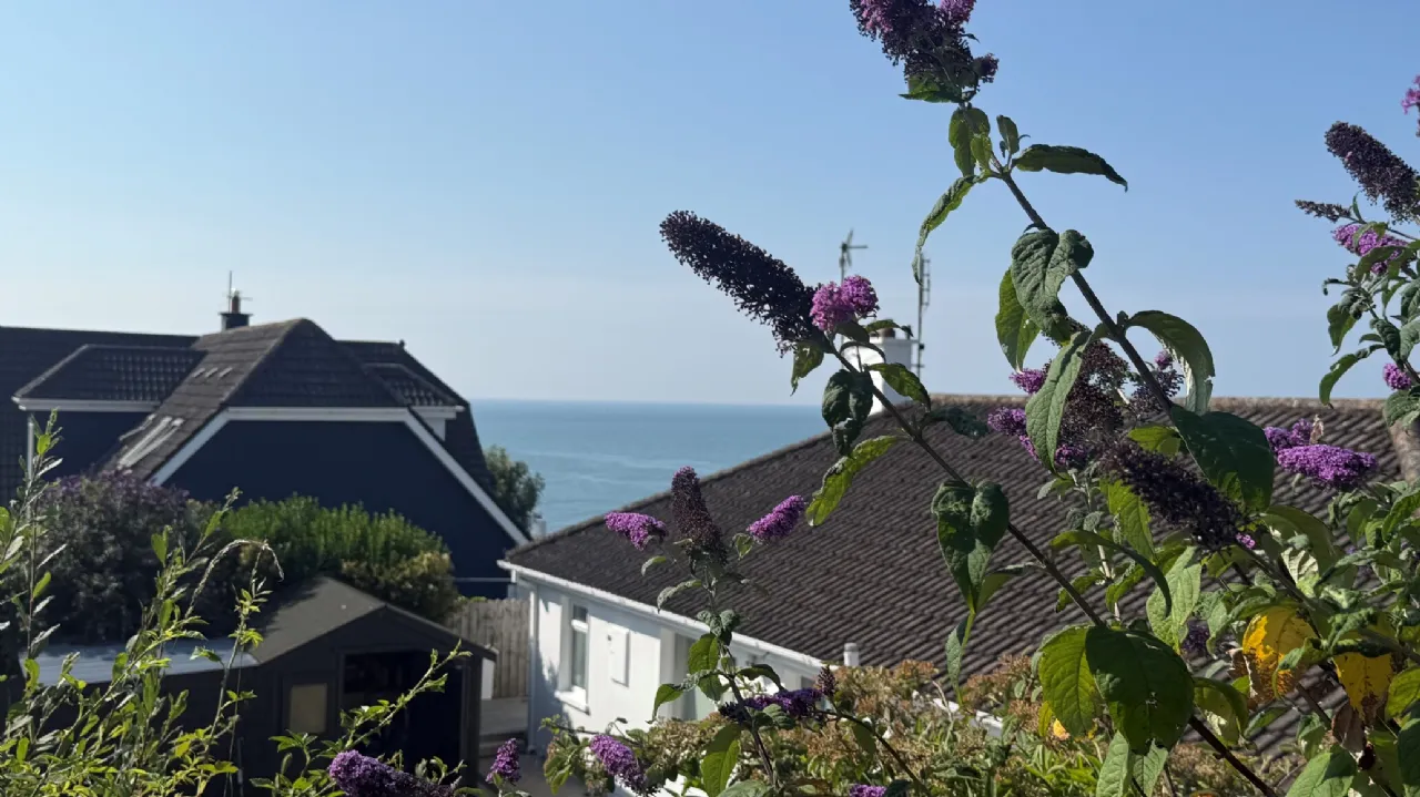 Photo of 27 Knockaverry, Youghal, Co. Cork, P36AD80