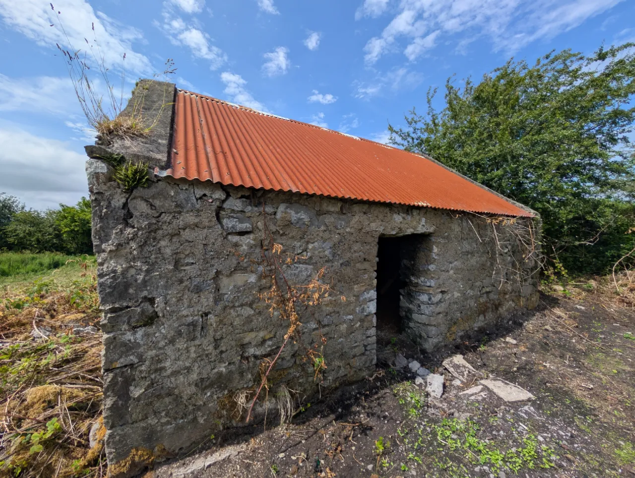 Photo of Carrowliamore, Swinford, Co. Mayo