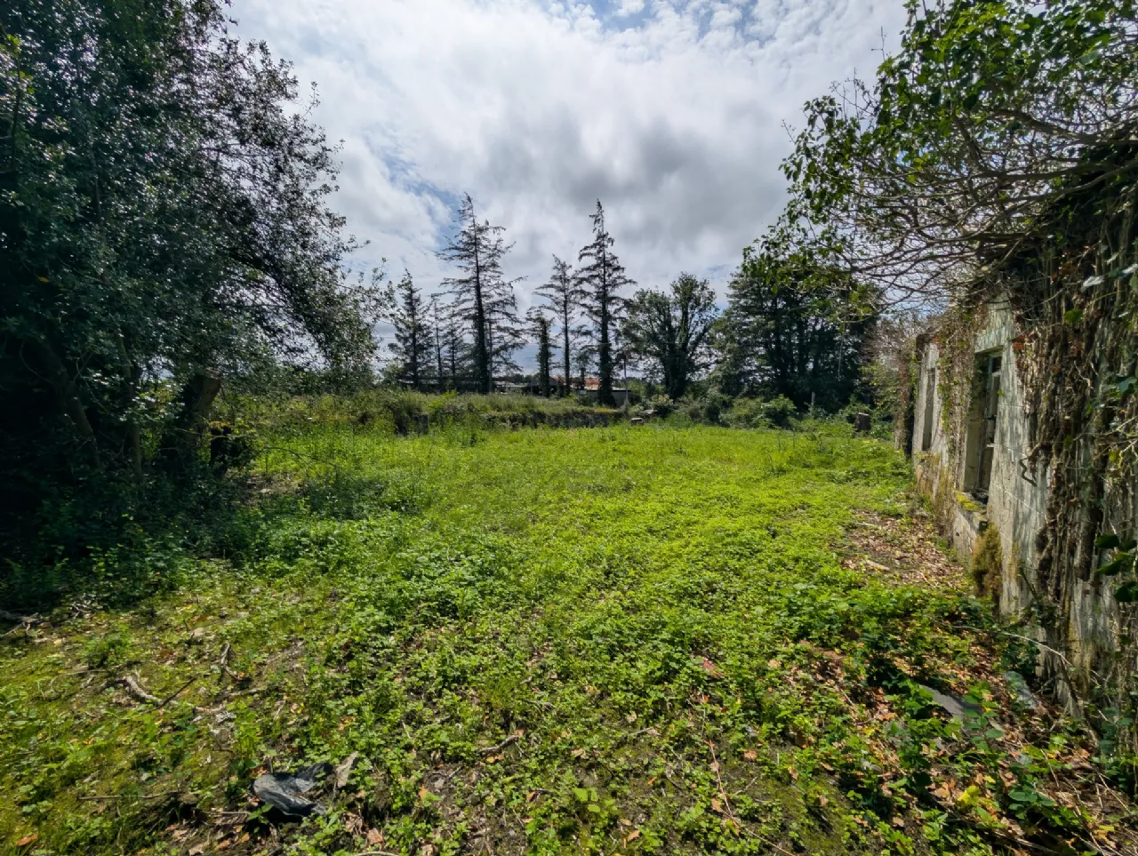 Photo of Carroweena, Killasser, Swinford, Co. Mayo