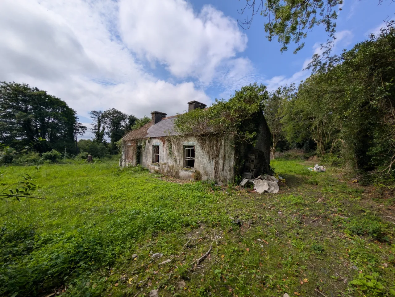 Photo of Carroweena, Killasser, Swinford, Co. Mayo