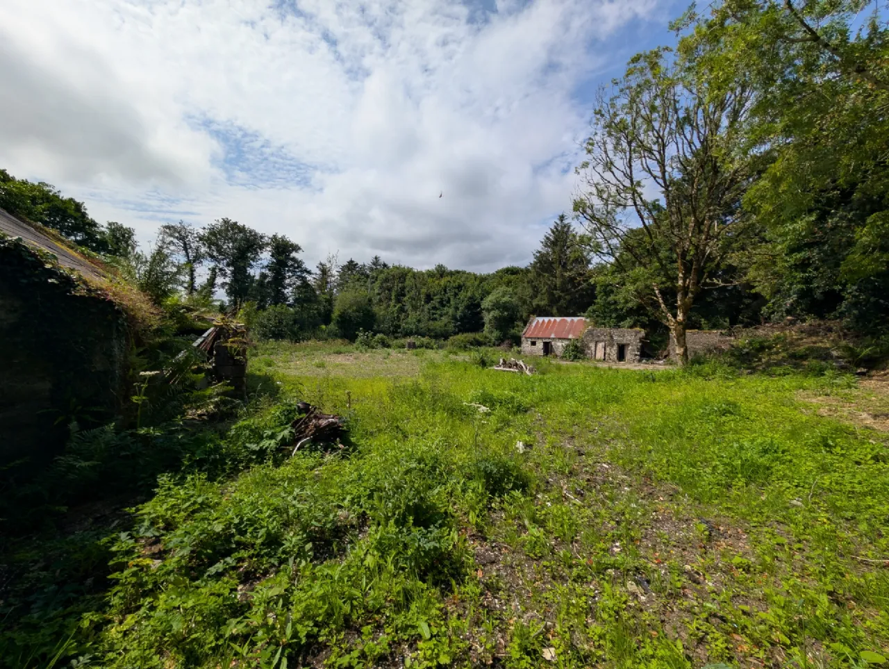 Photo of Carroweena, Killasser, Swinford, Co. Mayo