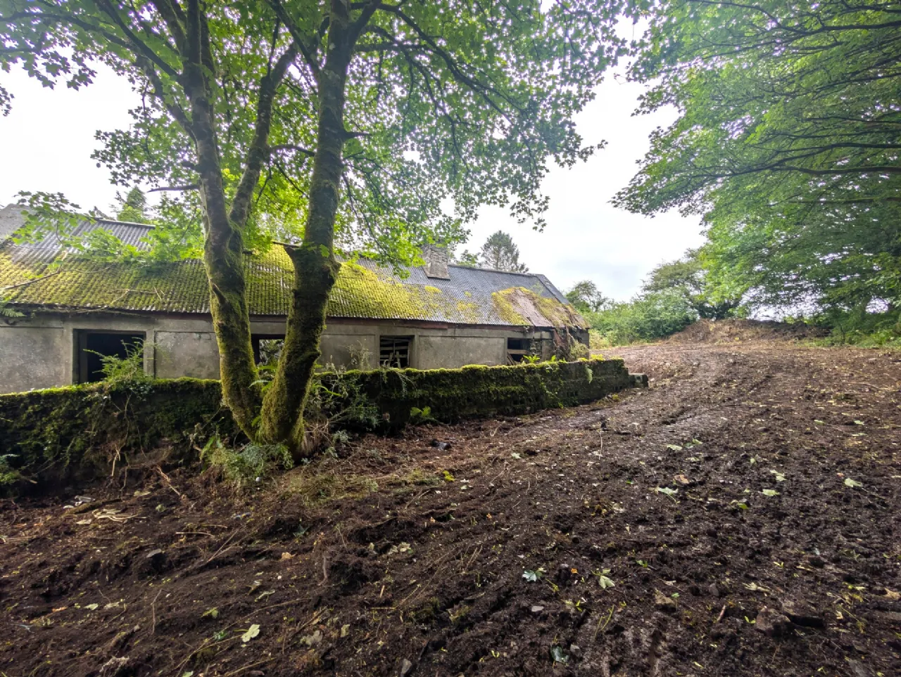 Photo of Killasser, Swinford, Co. Mayo