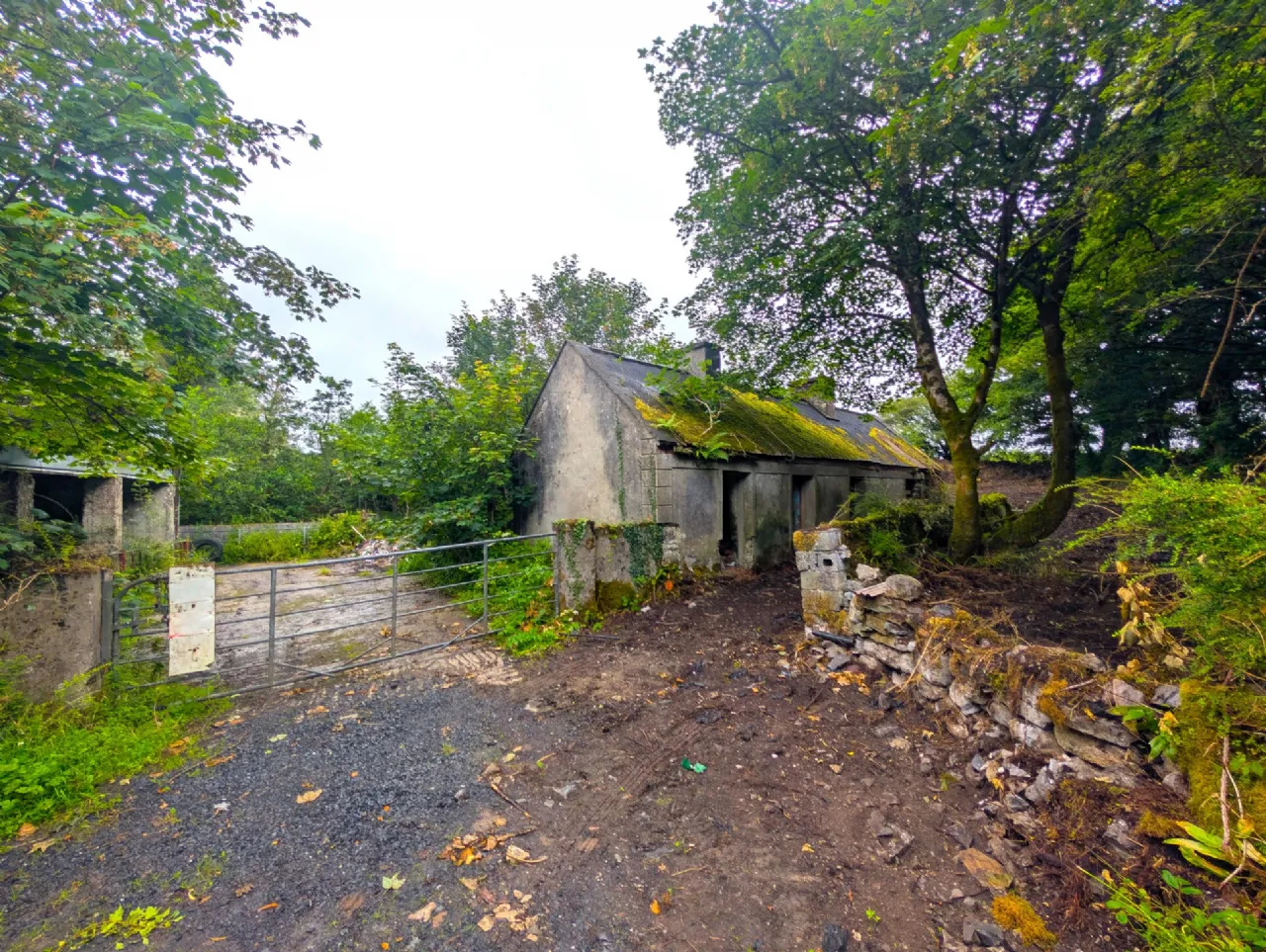 Photo of Killasser, Swinford, Co. Mayo
