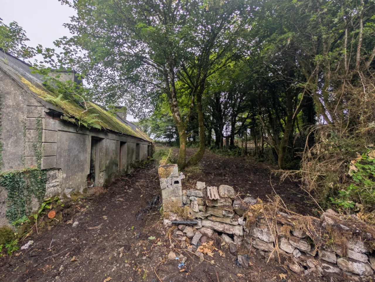 Photo of Killasser, Swinford, Co. Mayo