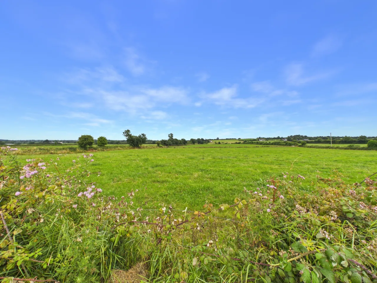 Photo of Lisballyard, Rathcabbin, Co. Tipperary, R42W440