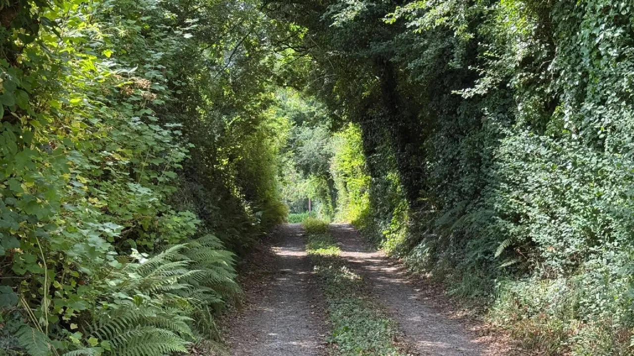 Photo of Blackbridge, Dundrum, Co Tipperary, E34CV96