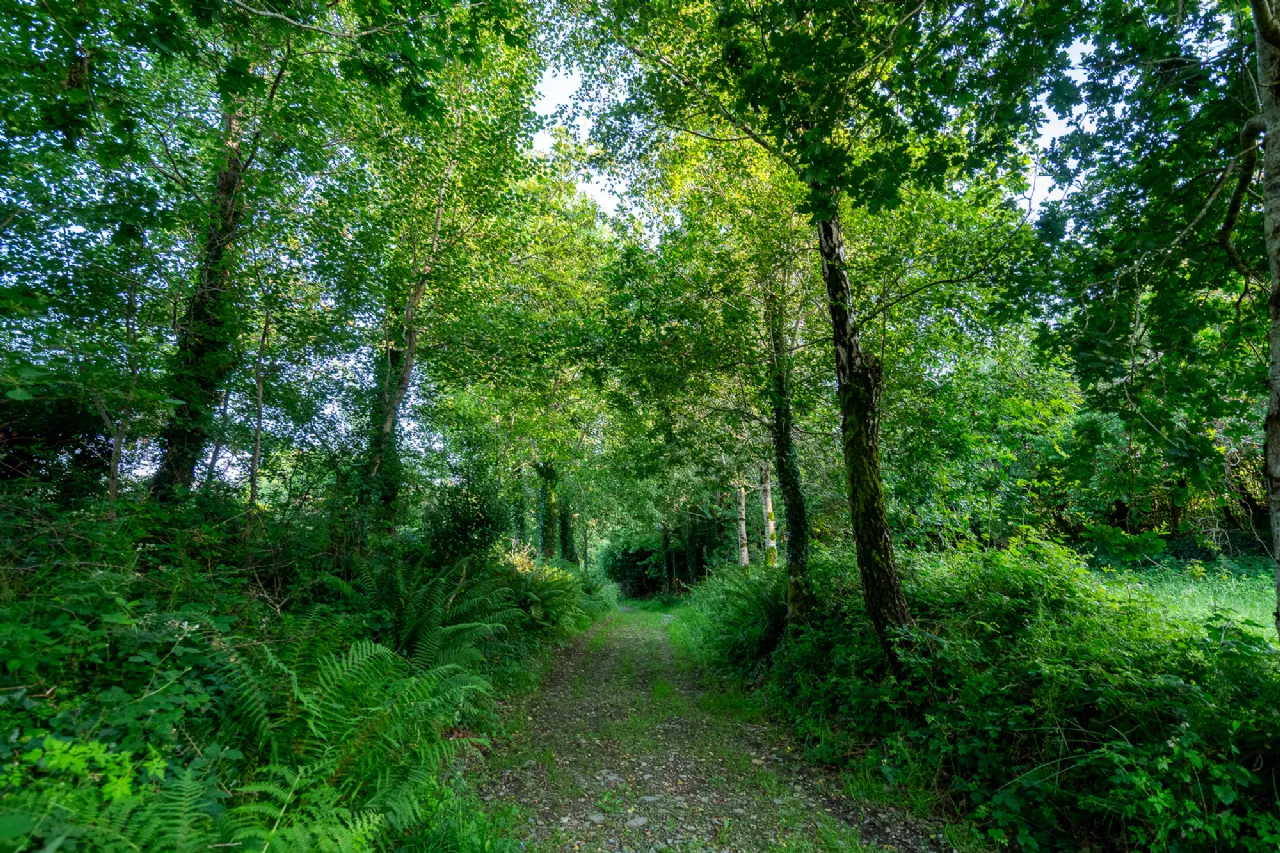 Photo of Spyglass Hill, Loughaunacreen, Kilmakillouge, Lauragh - Kenmare, Co Kerry, V93 KW94