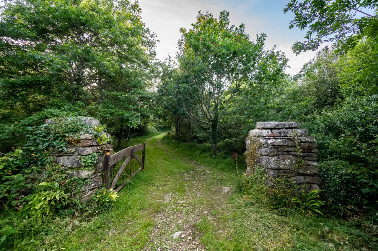 Photo of Spyglass Hill, Loughaunacreen, Kilmakillouge, Lauragh - Kenmare, Co Kerry, V93 KW94