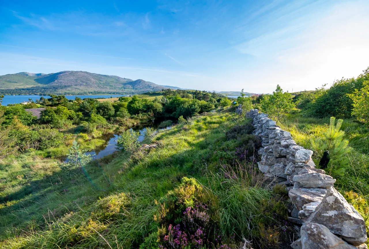 Photo of Spyglass Hill, Loughaunacreen, Kilmakillouge, Lauragh - Kenmare, Co Kerry, V93 KW94