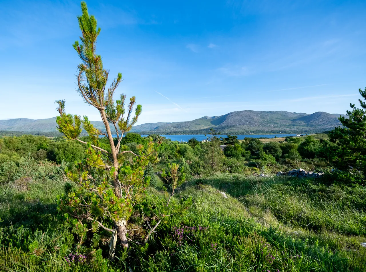 Photo of Spyglass Hill, Loughaunacreen, Kilmakillouge, Lauragh - Kenmare, Co Kerry, V93 KW94