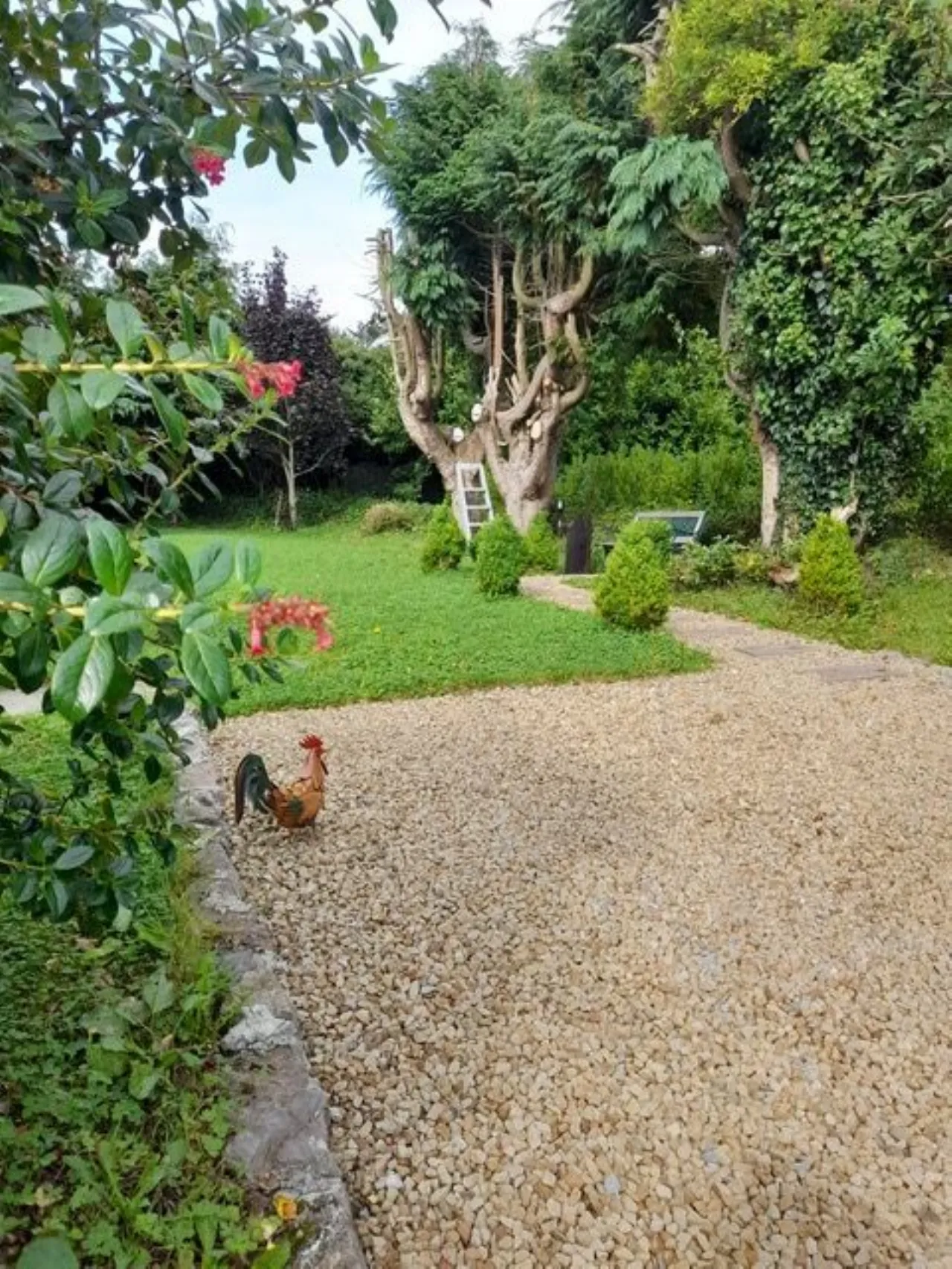 Photo of Stone Cottage, Old Galway Road, Loughrea, Co Galway, H62 FD99