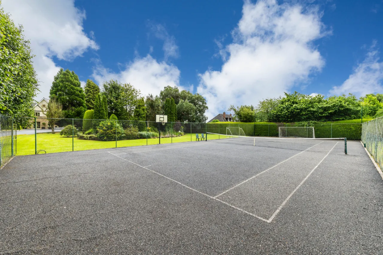 Photo of Tall Trees, Whitestown, Oldtown, Dublin, A45 N599