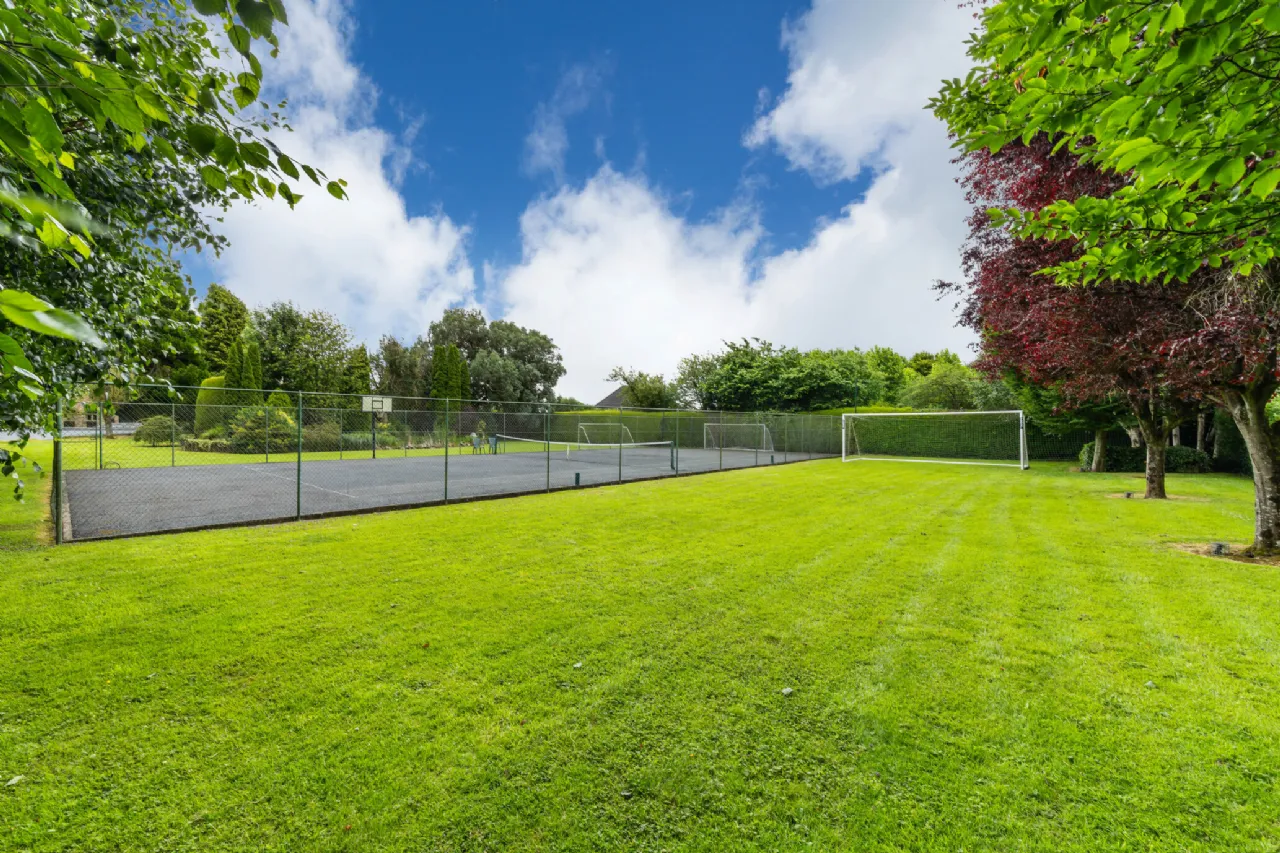 Photo of Tall Trees, Whitestown, Oldtown, Dublin, A45 N599