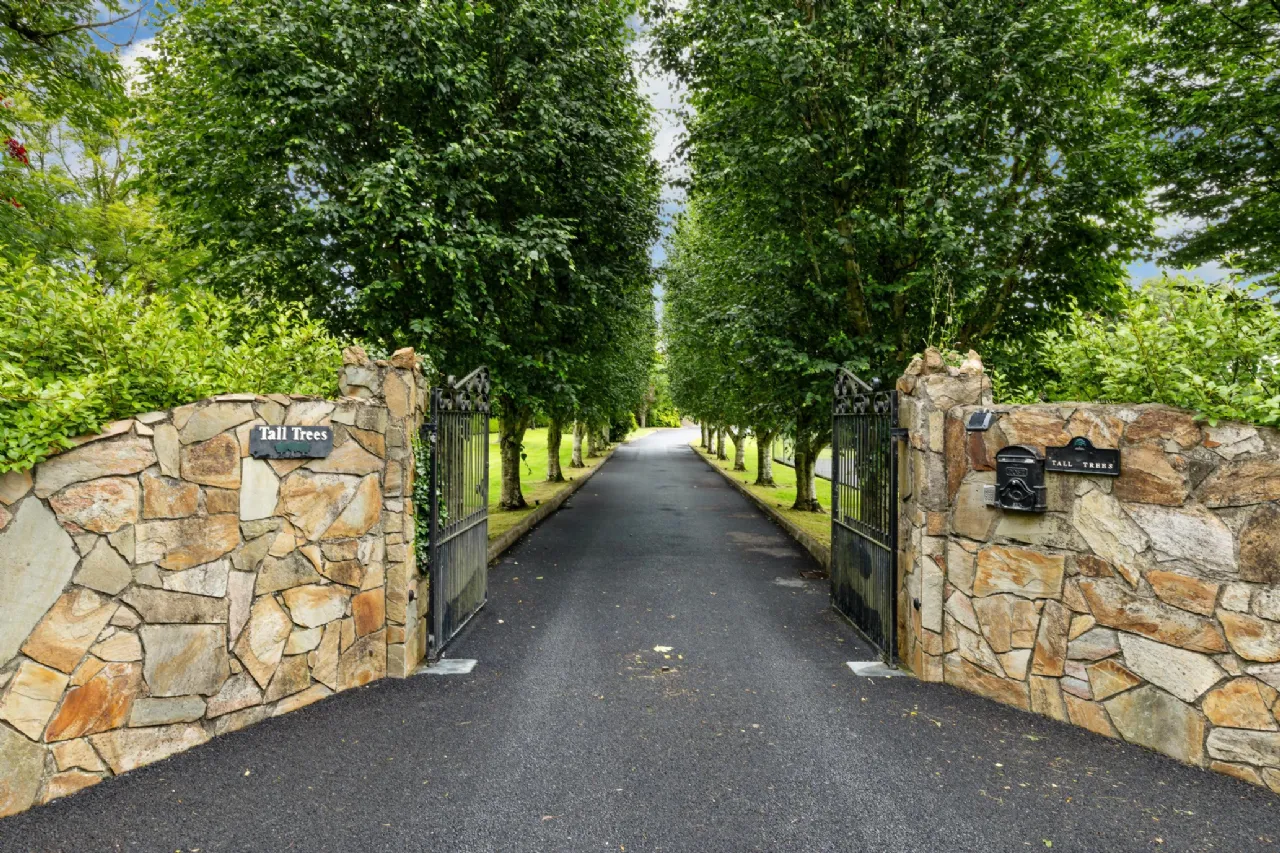 Photo of Tall Trees, Whitestown, Oldtown, Dublin, A45 N599